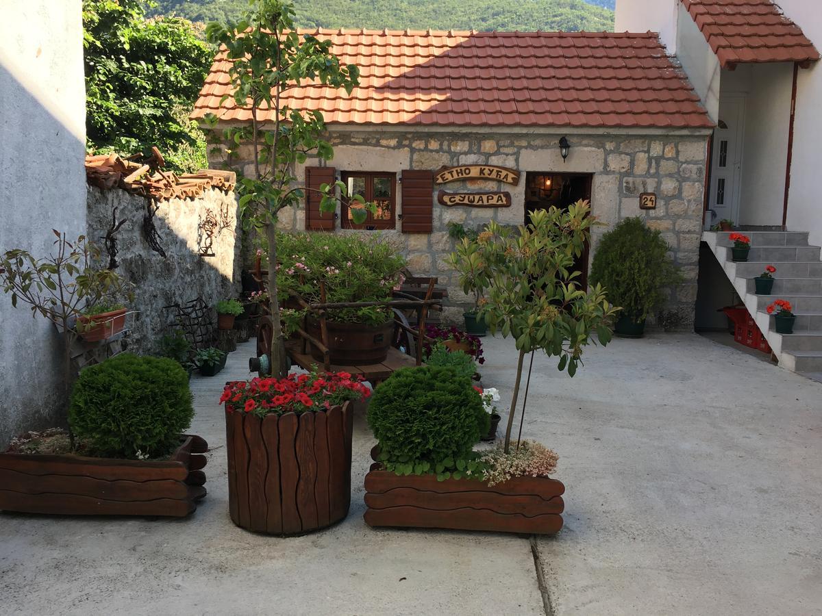 Bnb Njeguska Sijela Bed and Breakfast Njegusi Εξωτερικό φωτογραφία